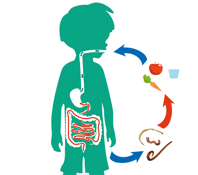 οδούς μόλυνσης του ανθρώπου από παράσιτα