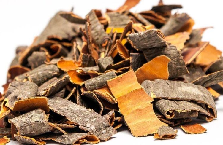 φλοιός aspen κατά των παρασίτων